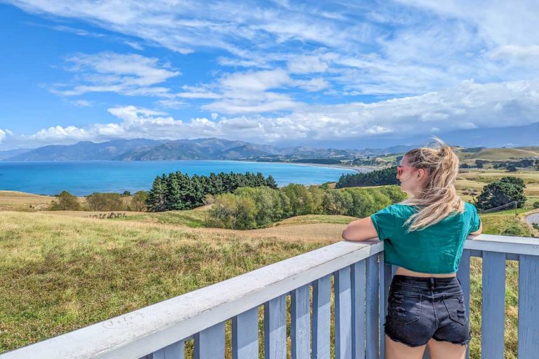 Everything You Need to Know About Kaikoura Lookout
