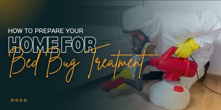 How to Prepare Your Home for Bed Bug Treatment