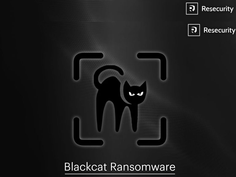 BlackCat Online: Exploring the Digital Identity Behind the Name