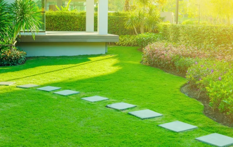 Importance of Professional San Antonio Landscaping Services
